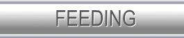 FEEDING