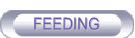 FEEDING